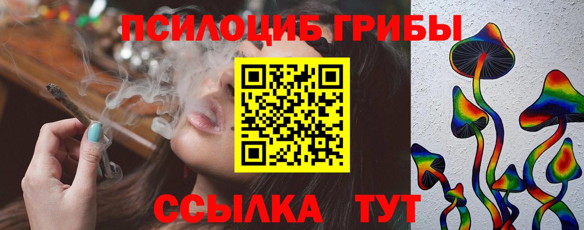 Псилоцибиновые грибы Psilocybine cubensis Нижний Тагил